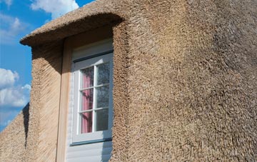 Rait thatch roof disadvantages